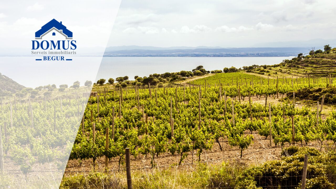 Costa Brava - Viñedos - Domus Begur